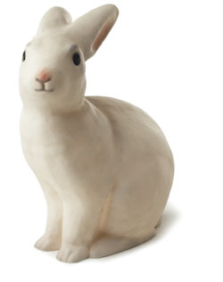 Lapin